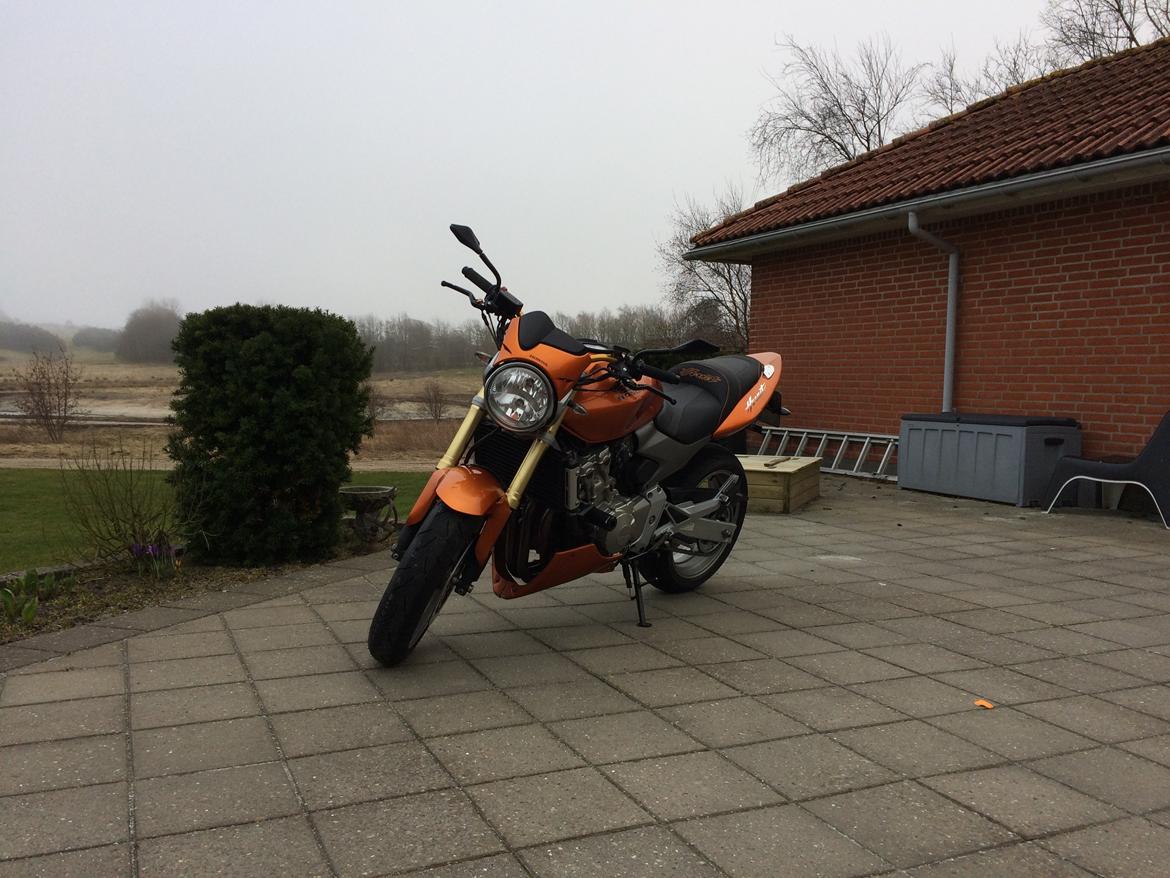 Honda CB600F Hornet  billede 7