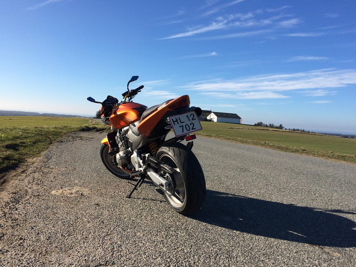 Honda CB600F Hornet  billede 16