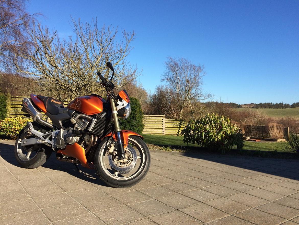 Honda CB600F Hornet  billede 1