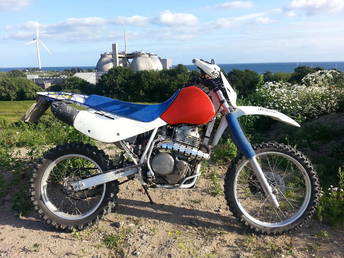 Honda xr600r billede 3