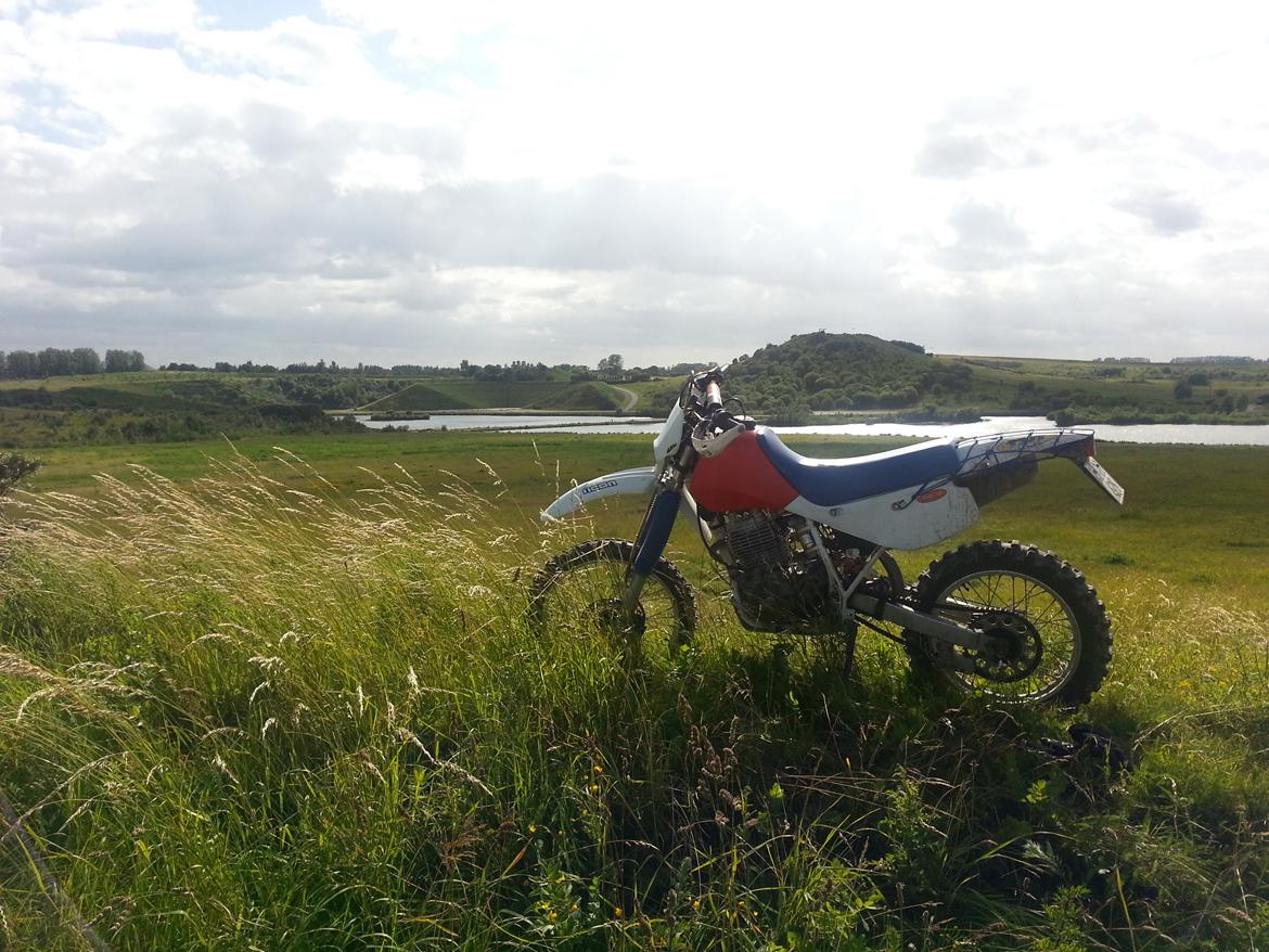 Honda xr600r billede 4