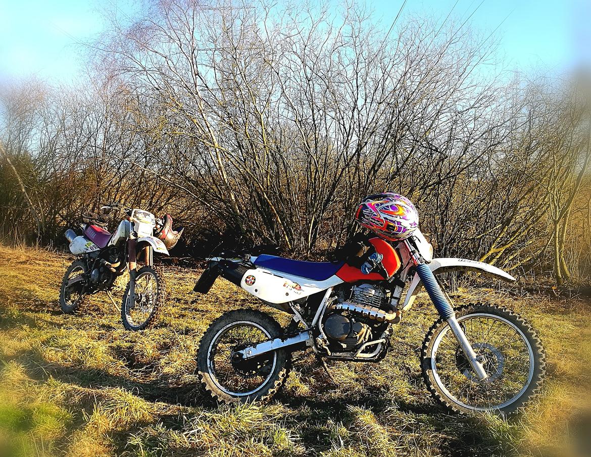 Honda xr600r billede 1