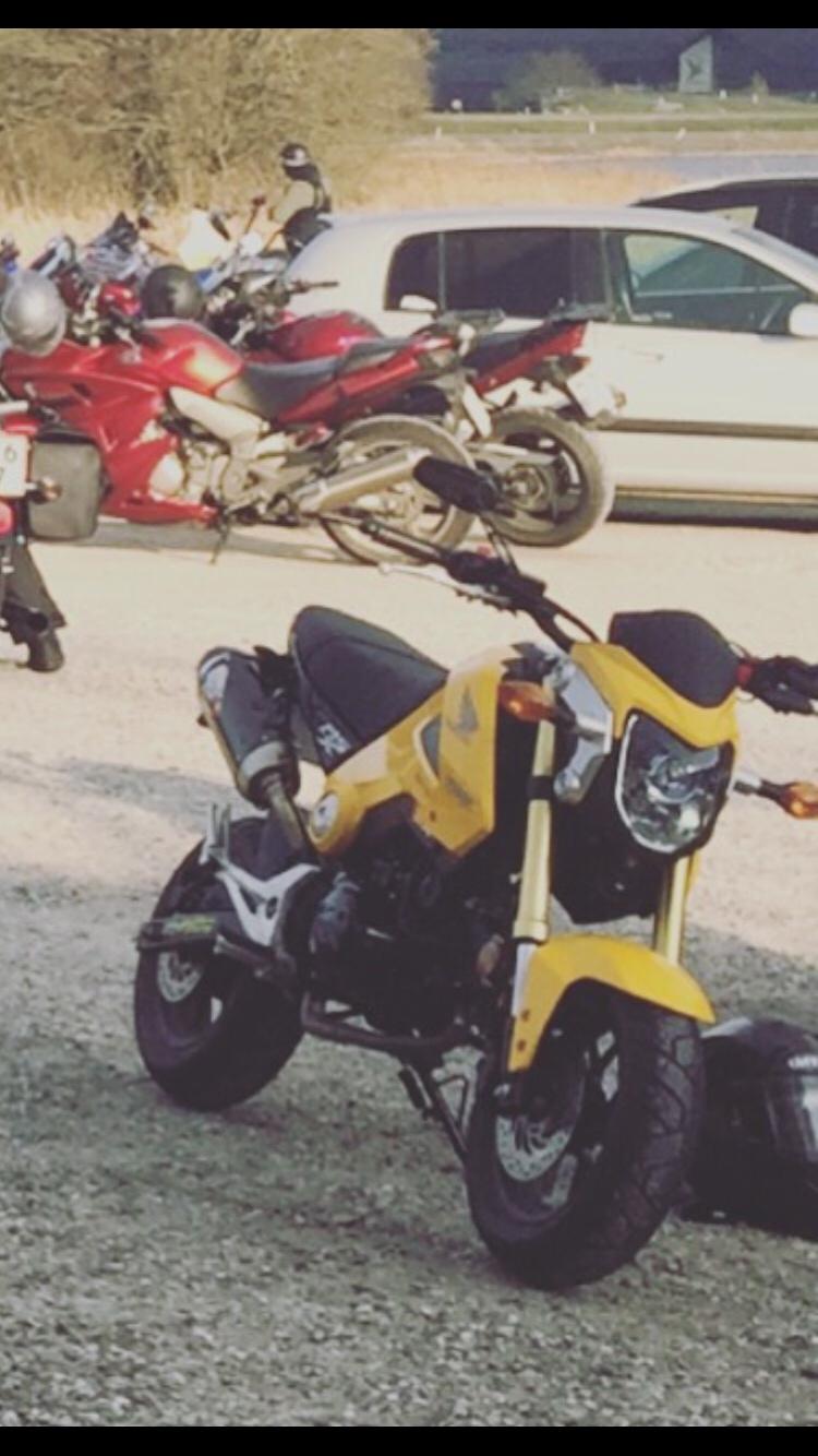 Honda MSX (GROM) motard billede 19