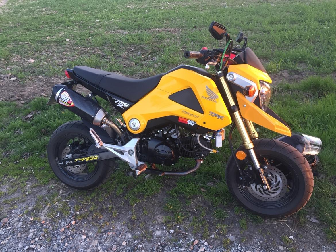 Honda MSX (GROM) motard billede 3