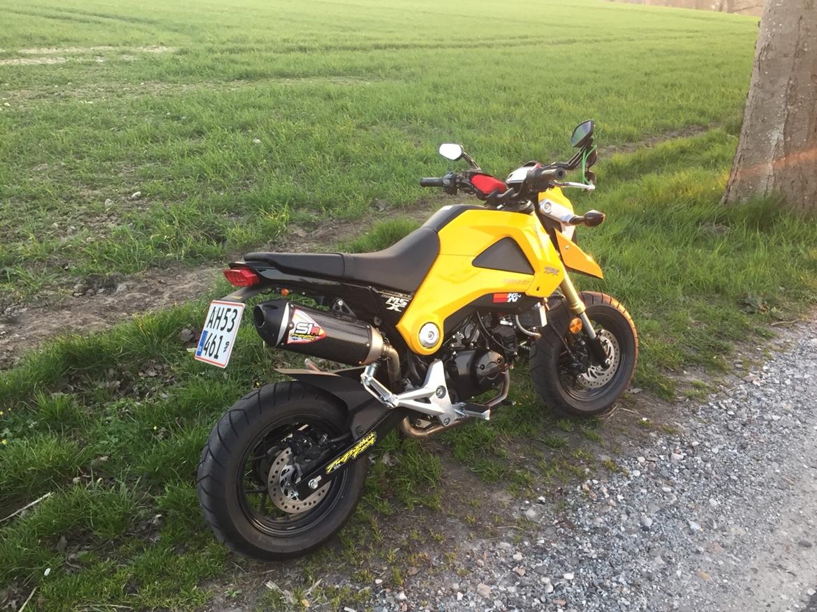 Honda MSX (GROM) motard billede 2