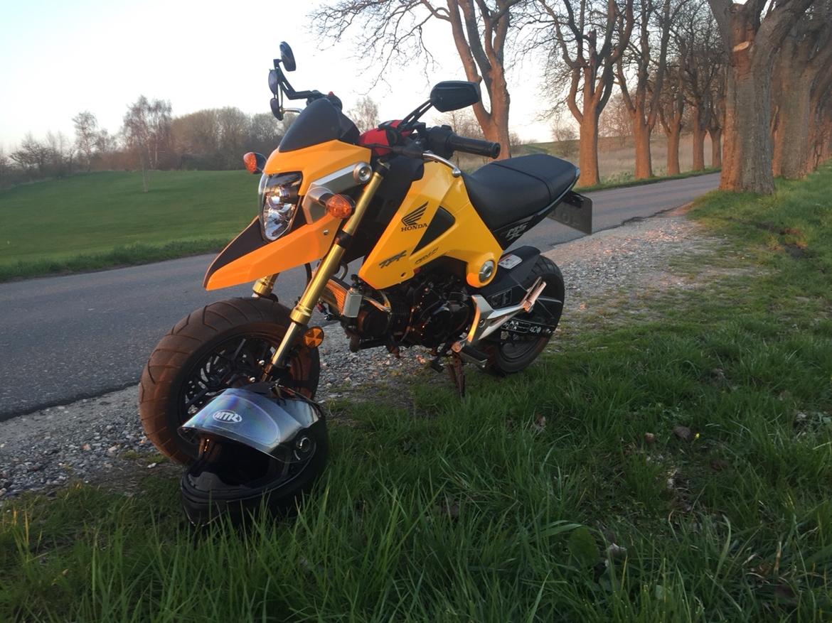 Honda MSX (GROM) motard billede 1