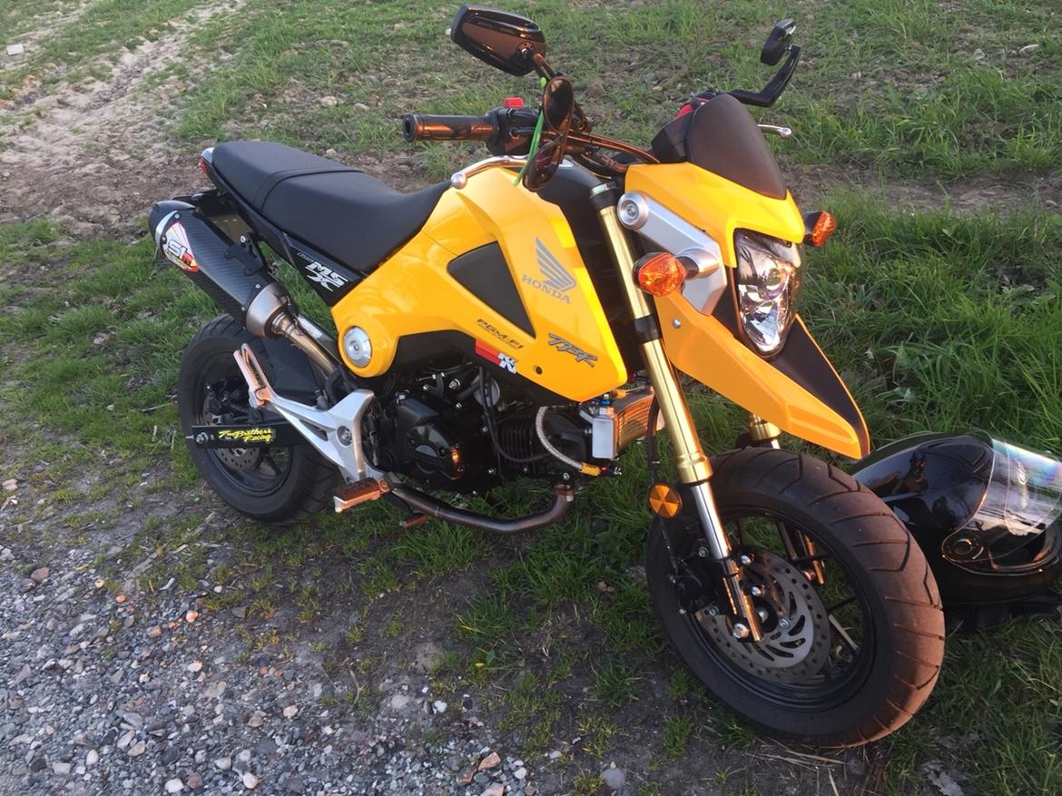 Honda MSX (GROM) motard billede 4