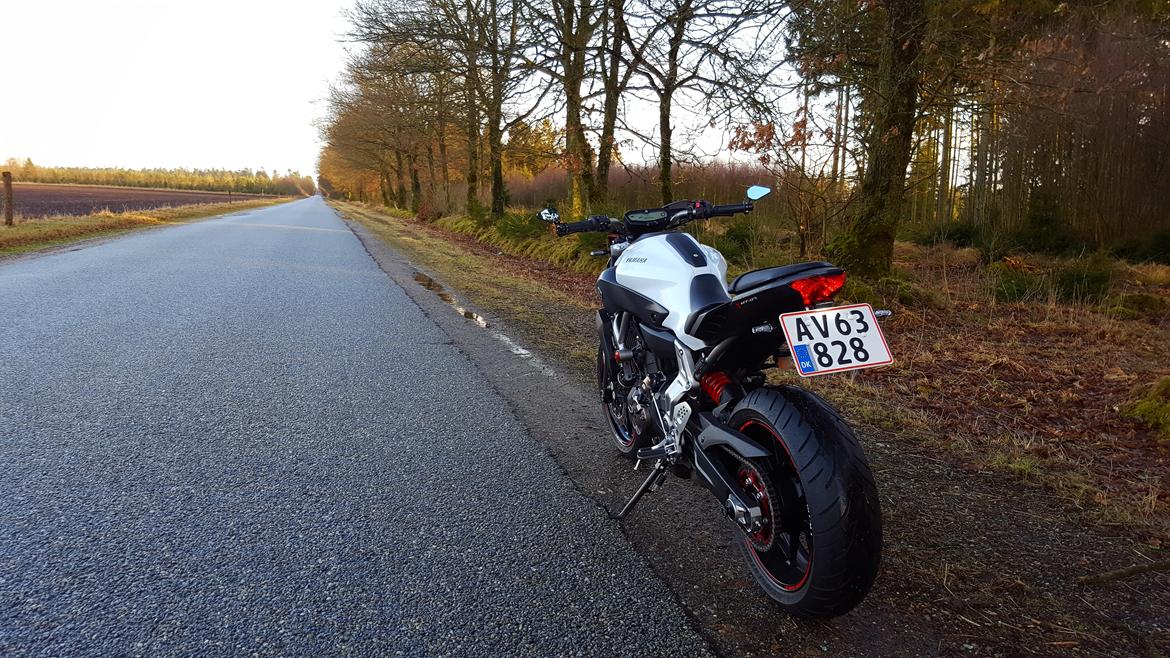 Yamaha MT-07 billede 14