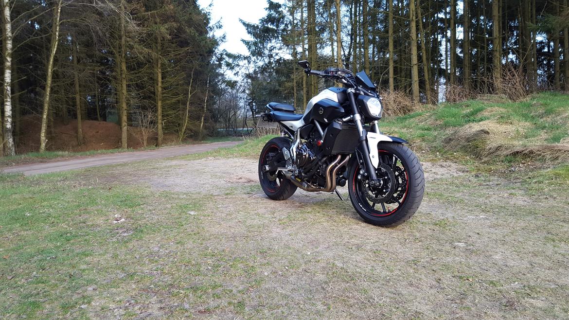Yamaha MT-07 billede 12