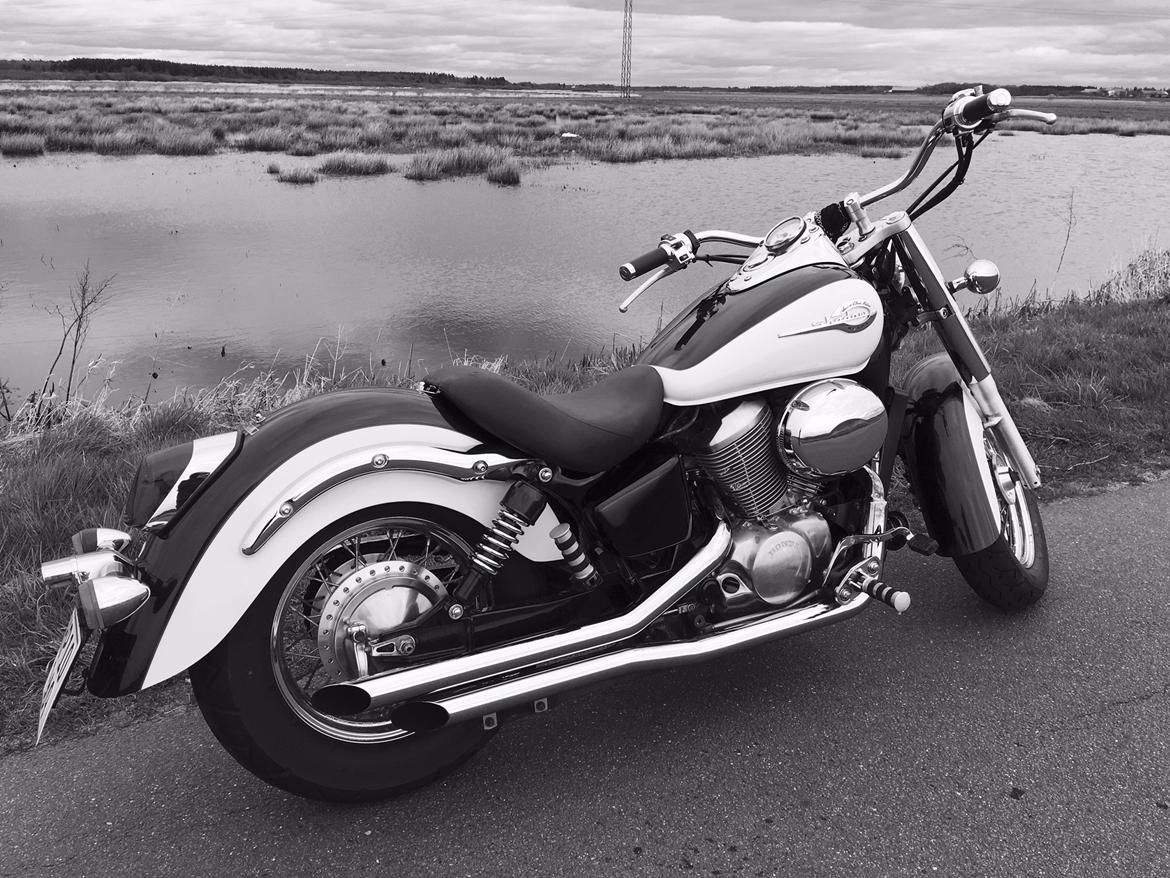 Honda SHADOW VT 750 ACE billede 12