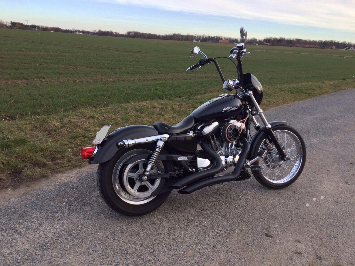 Harley Davidson Sportster 883 xl custom. SOLGT ! billede 1