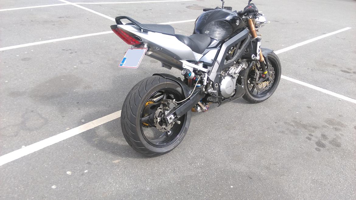 Suzuki SV 1000 billede 1