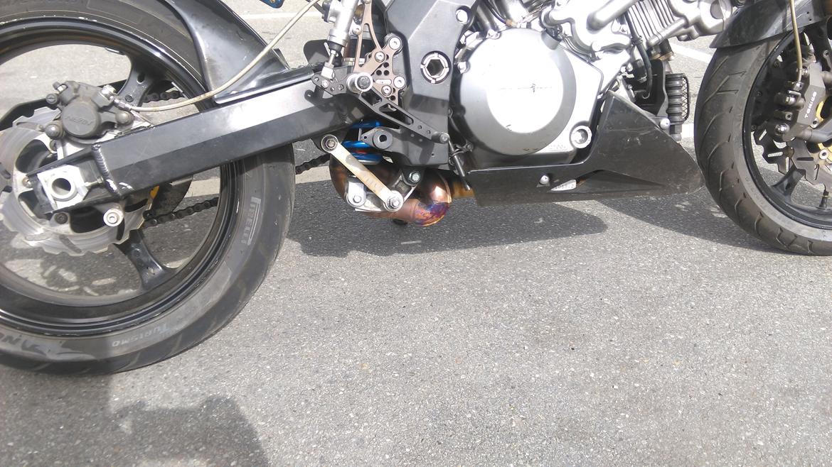 Suzuki SV 1000 billede 2