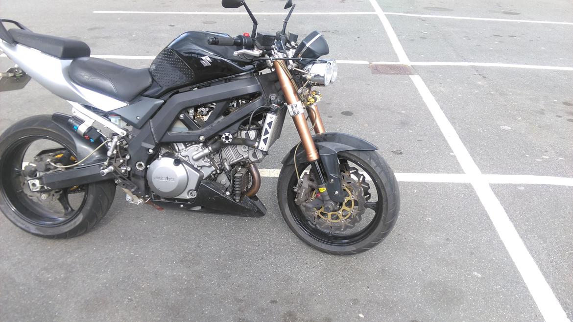 Suzuki SV 1000 billede 3