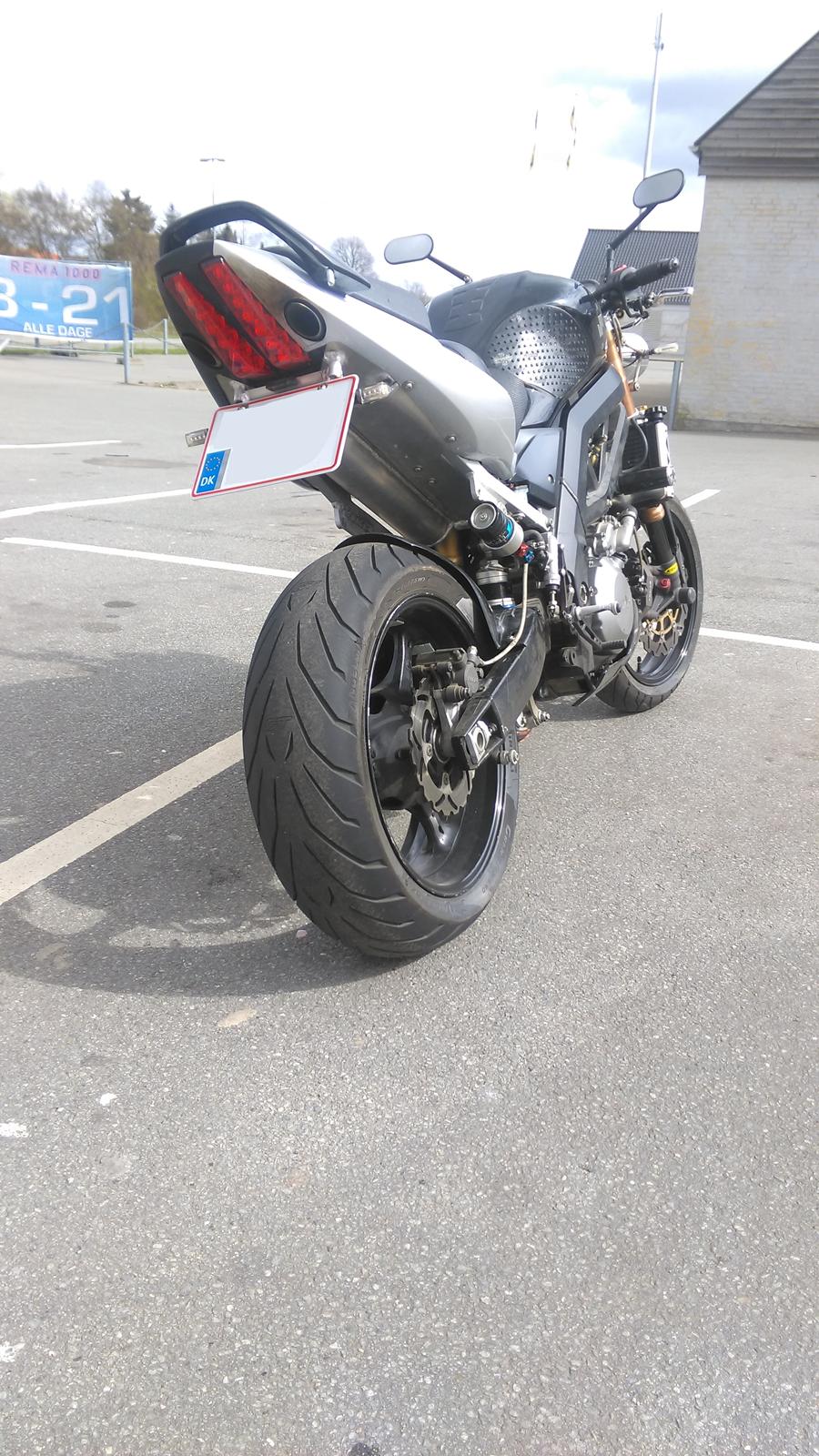 Suzuki SV 1000 billede 12