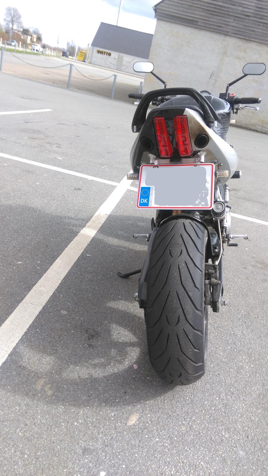 Suzuki SV 1000 billede 5
