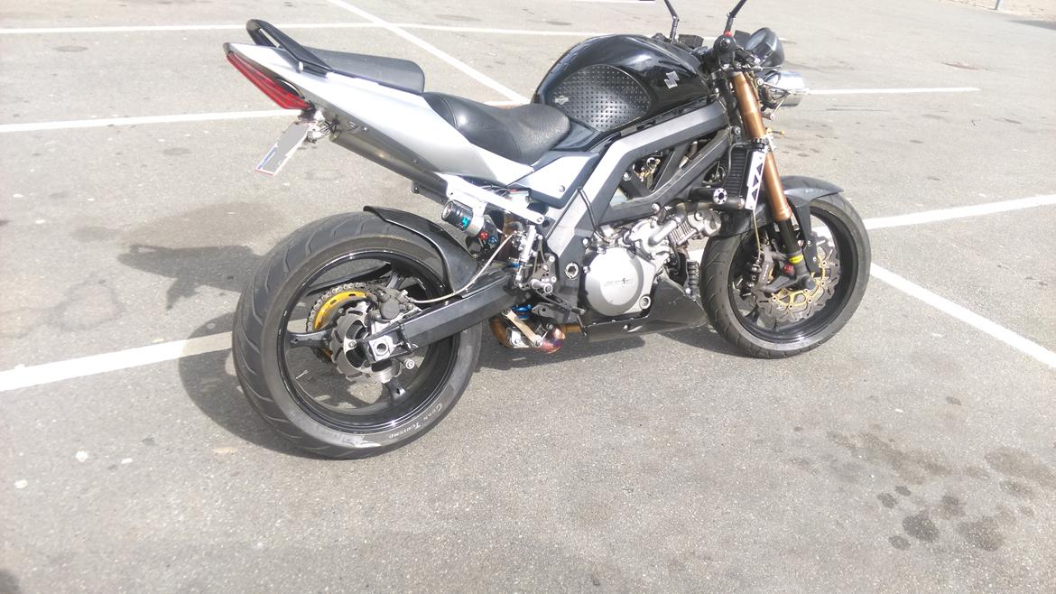 Suzuki SV 1000 billede 8