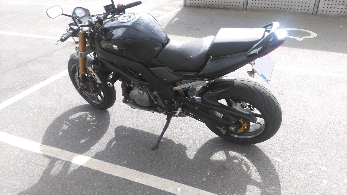 Suzuki SV 1000 billede 4