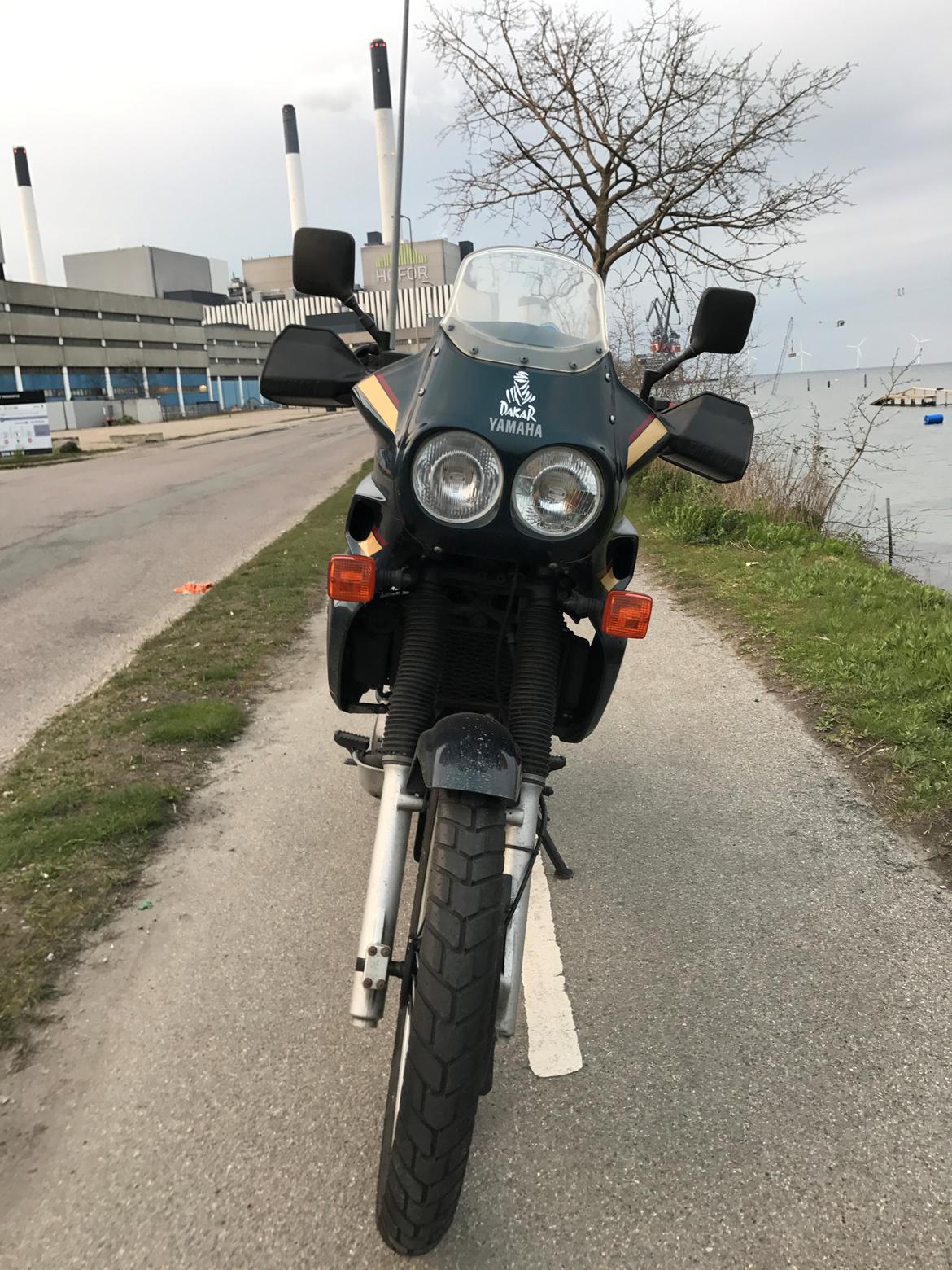 Yamaha XTZ 660 Teneré billede 2