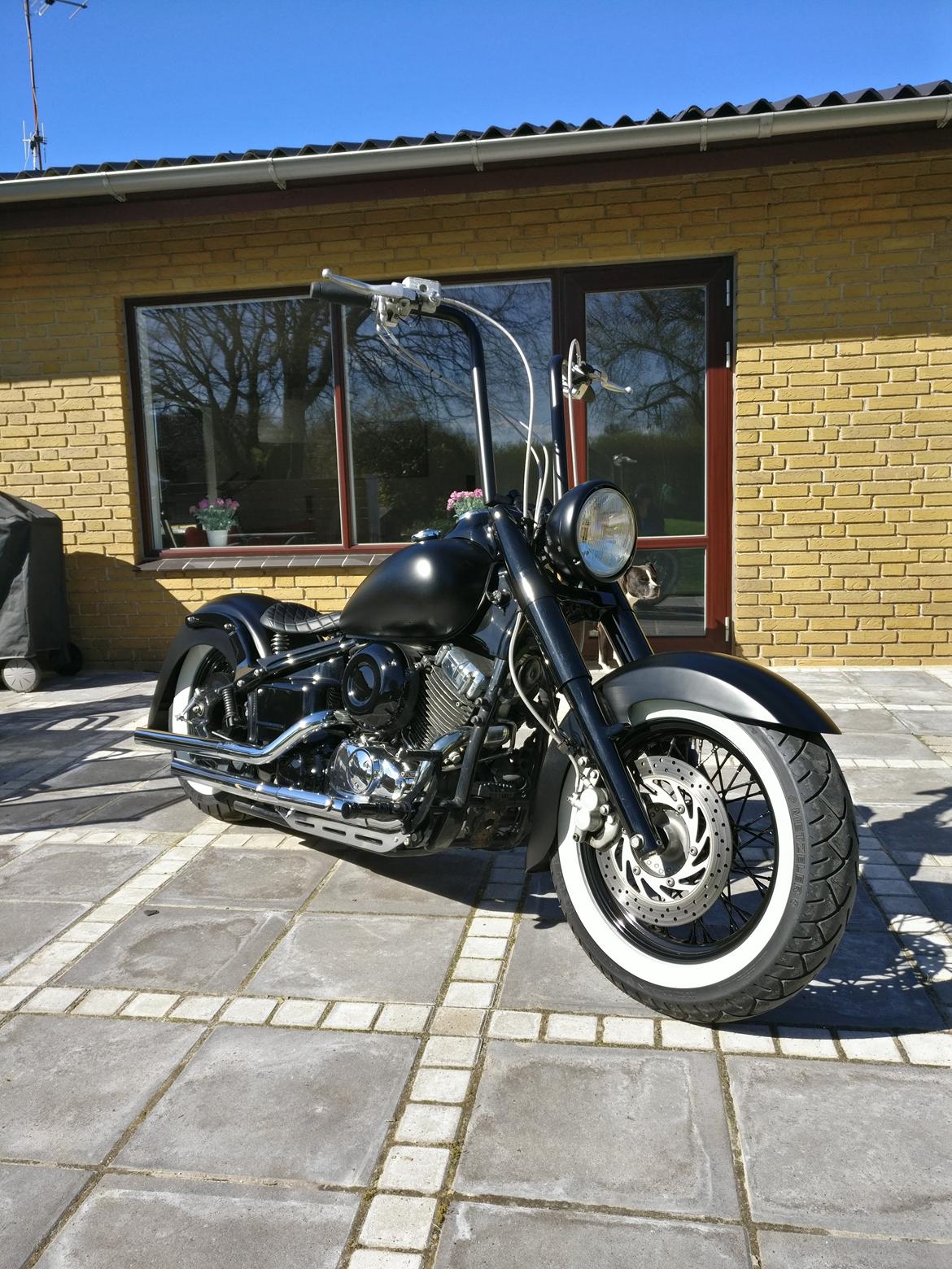 Yamaha Drag Star 650 billede 5
