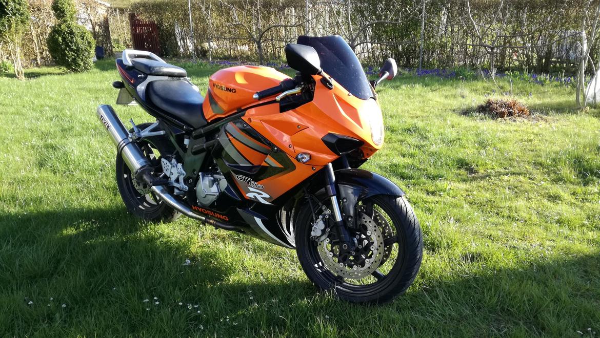 Hyosung GT650R billede 8