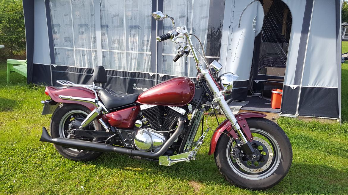 Suzuki vz 800 Marauder billede 4