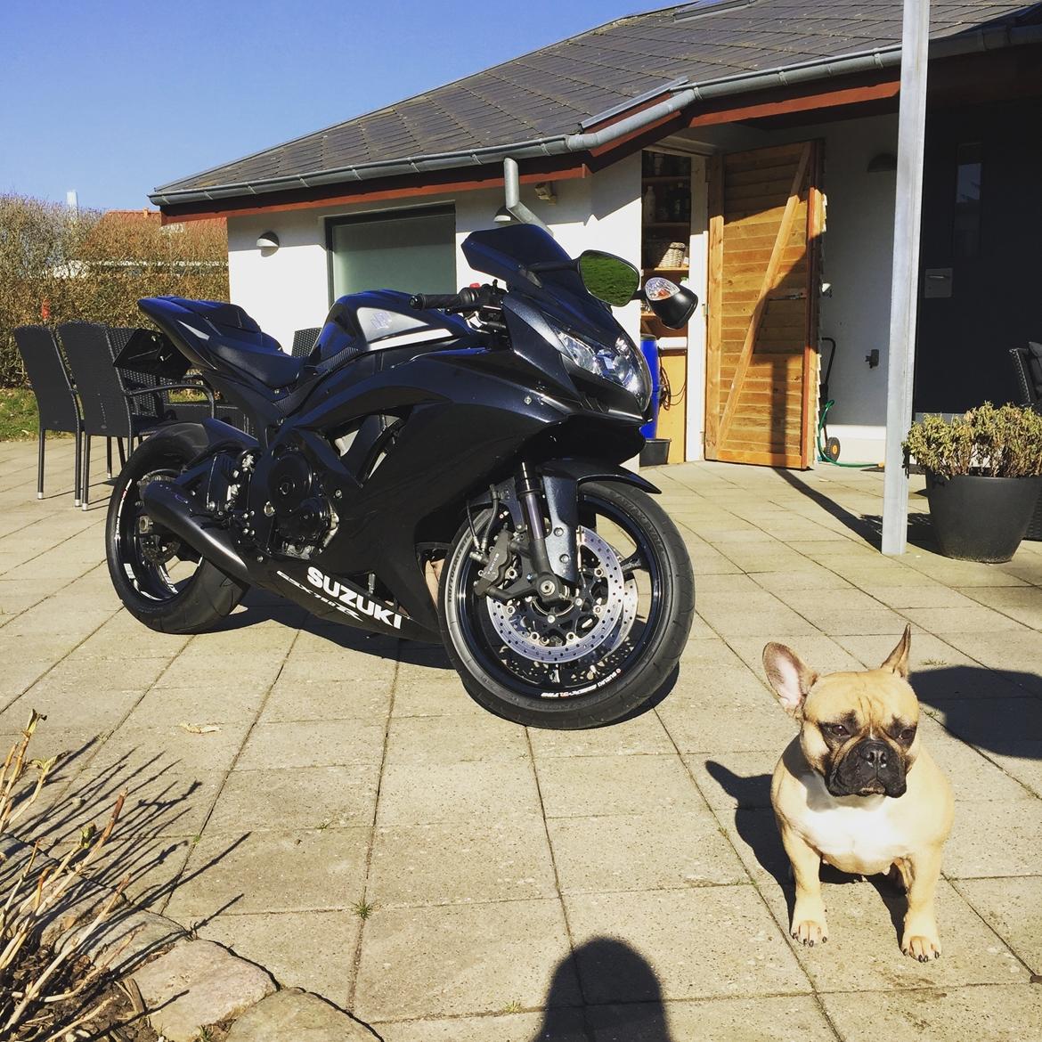 Suzuki GSX-R billede 13