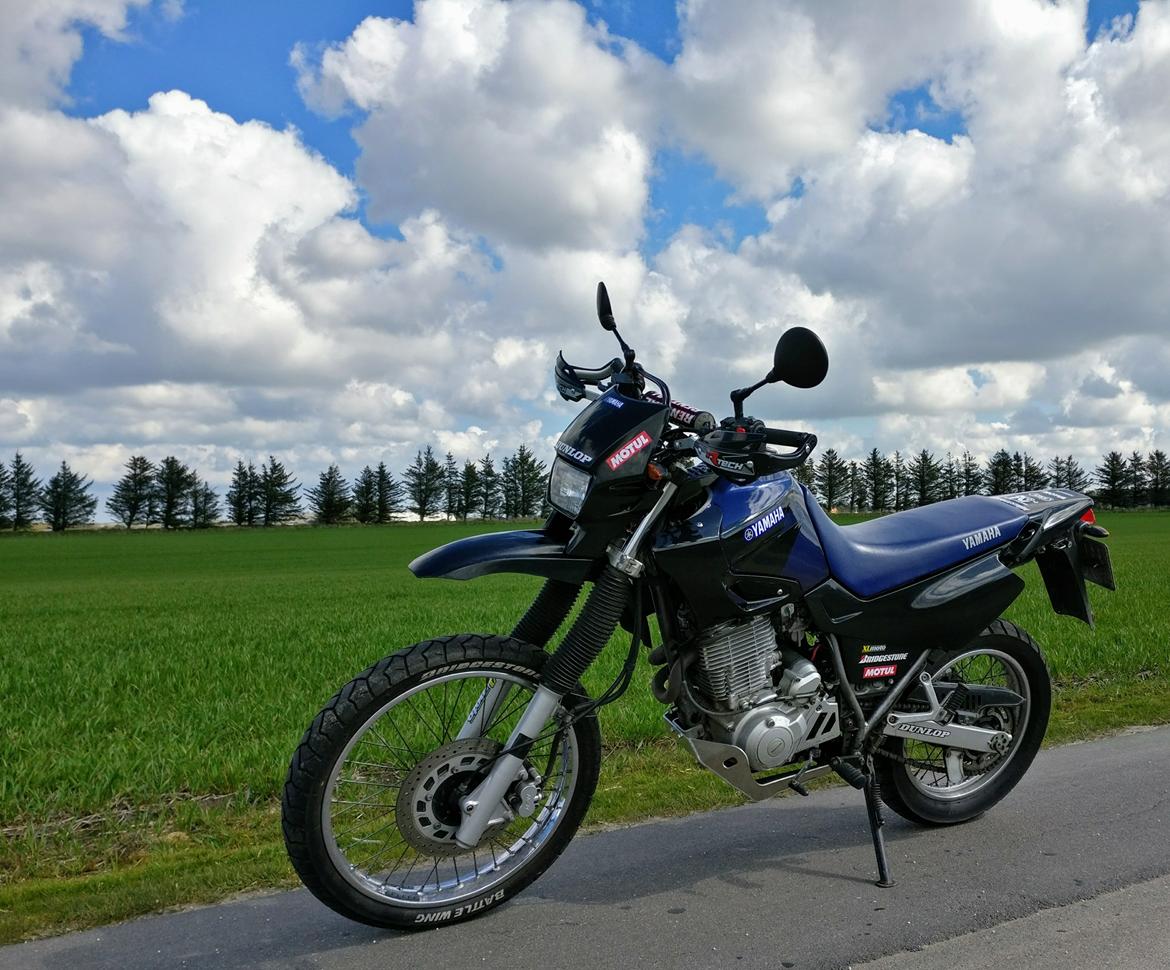Yamaha XT 600 billede 1