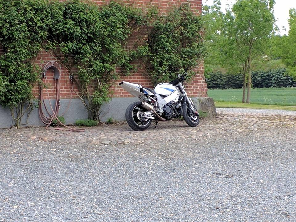 Suzuki TL1000R - Maj 2016 billede 13