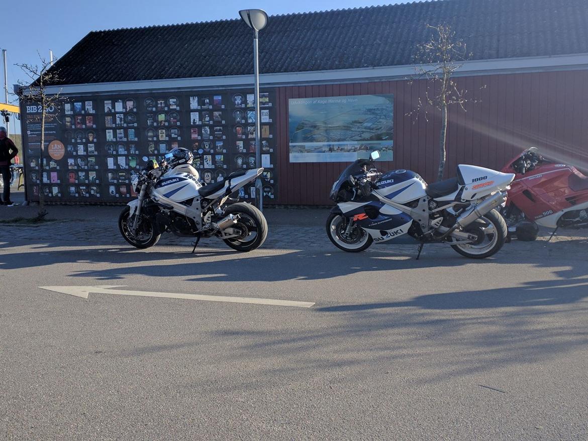 Suzuki TL1000R - April 2017 billede 14