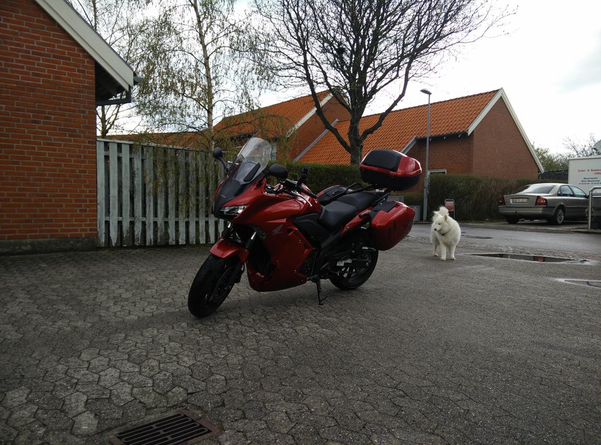 Honda CBF 1000 FA  billede 2