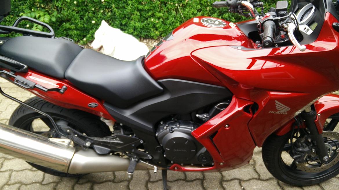 Honda CBF 1000 FA  billede 5