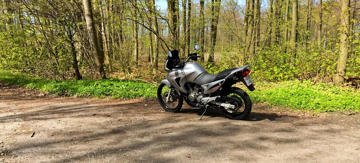 Honda XL 650 V Transalp billede 6