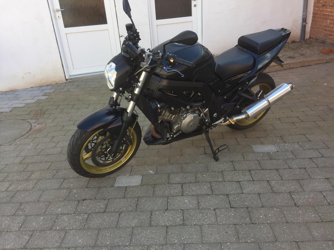 Suzuki SV1000S billede 1