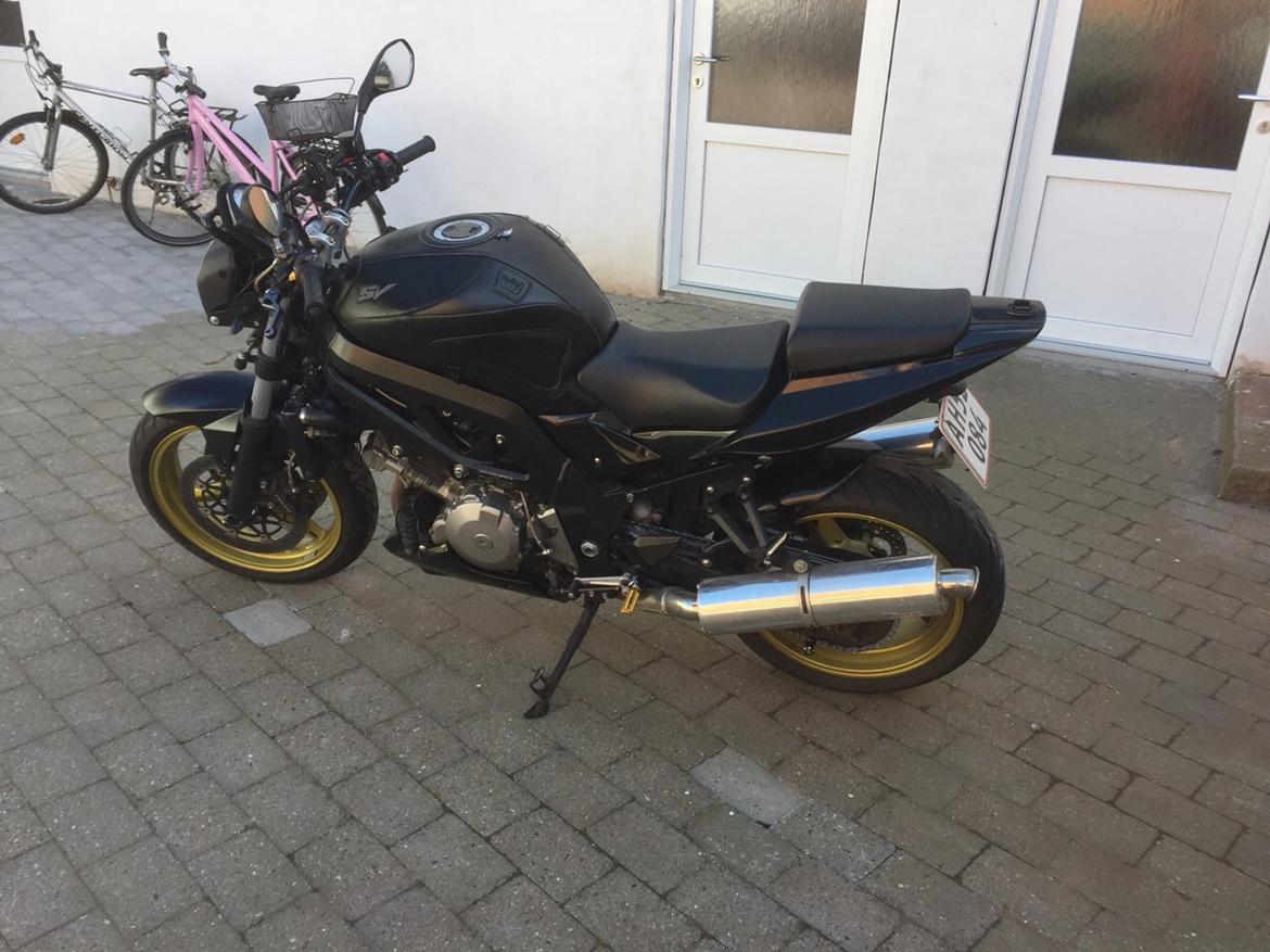 Suzuki SV1000S billede 2