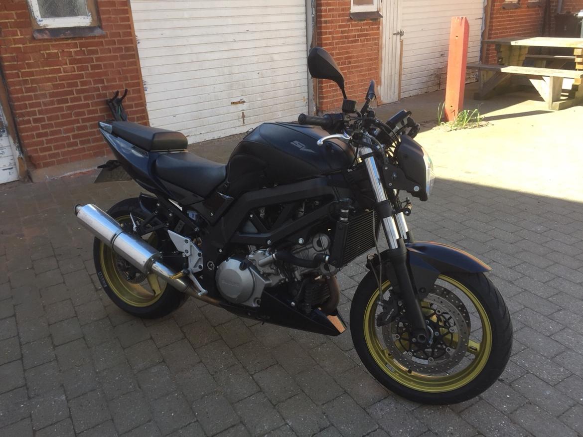 Suzuki SV1000S billede 10