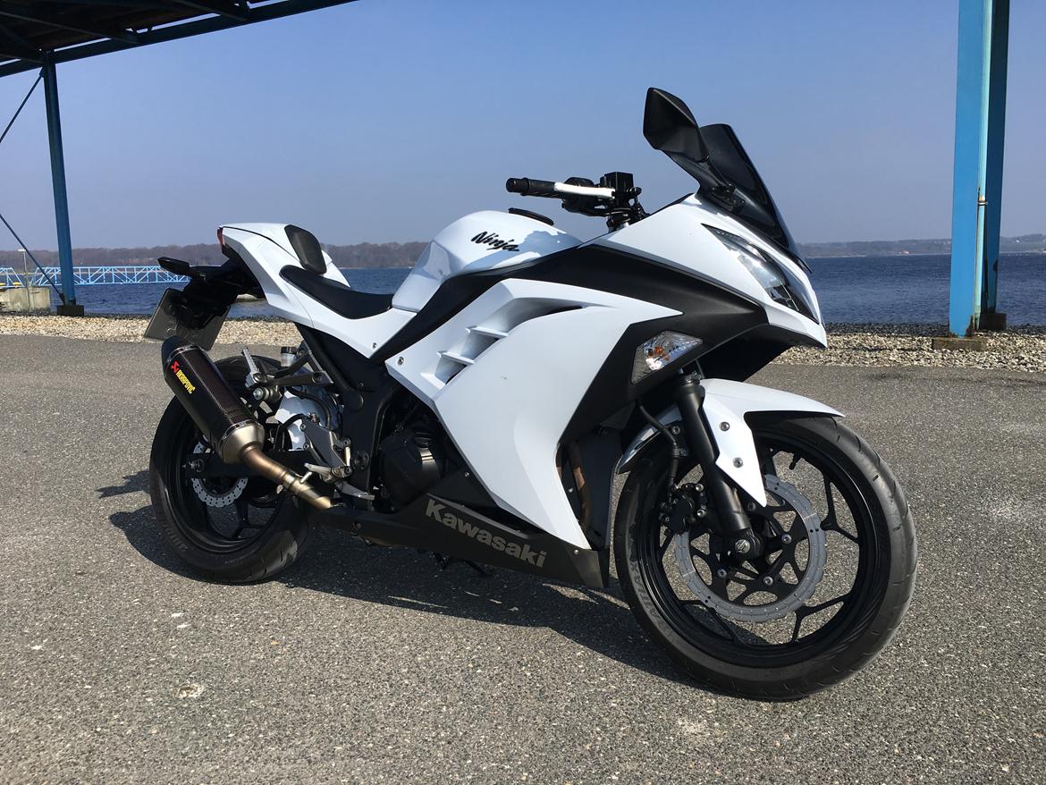 Kawasaki Ninja 300 R billede 1