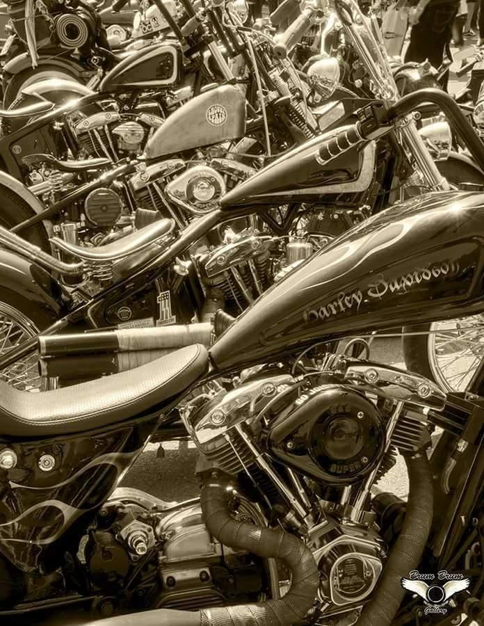 Harley Davidson Stivsteller. "Old School" billede 7