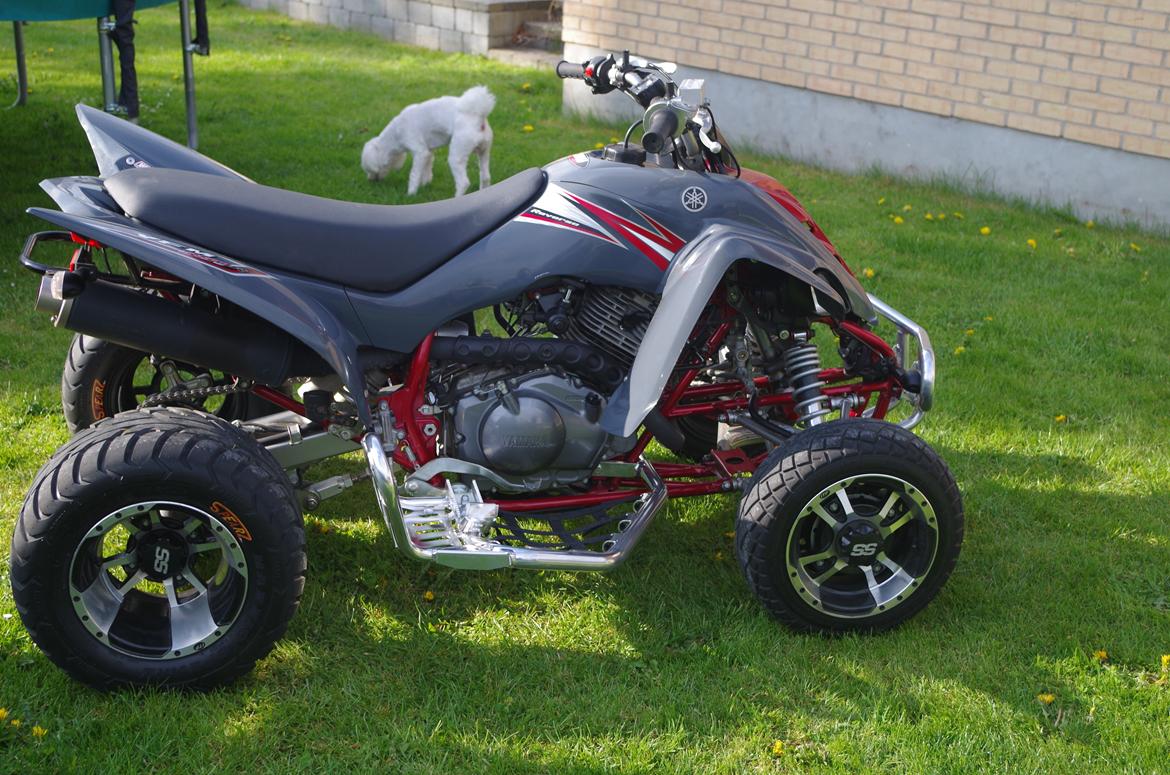 Yamaha Raptor 350 billede 6