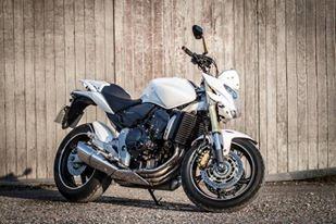 Honda Hornet 599 billede 8