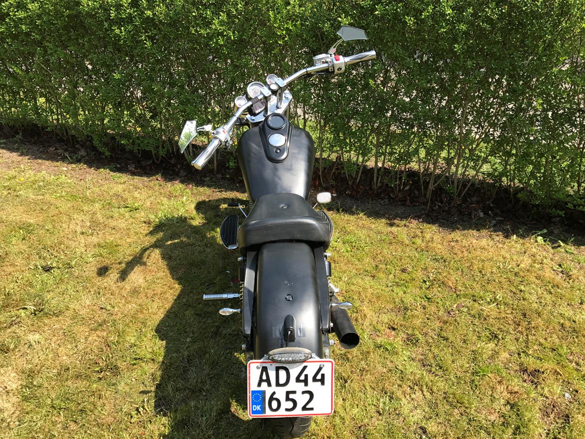 Lifan LF250-4 (Solgt) - Sommer 2017 billede 2