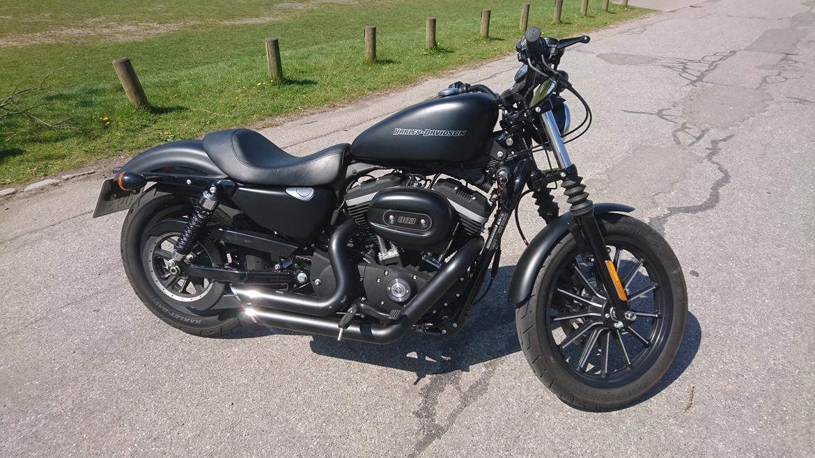 Harley Davidson Sportster Iron  billede 1