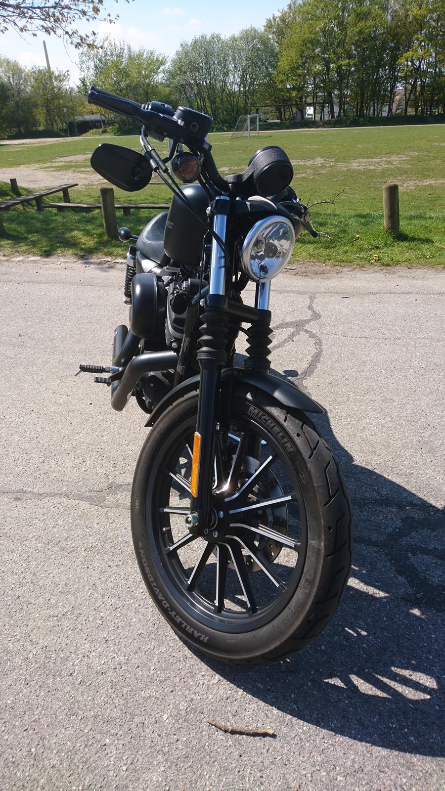 Harley Davidson Sportster Iron  billede 2
