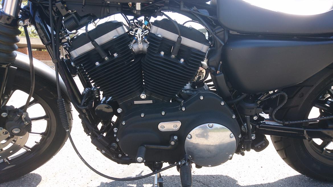 Harley Davidson Sportster Iron  billede 6
