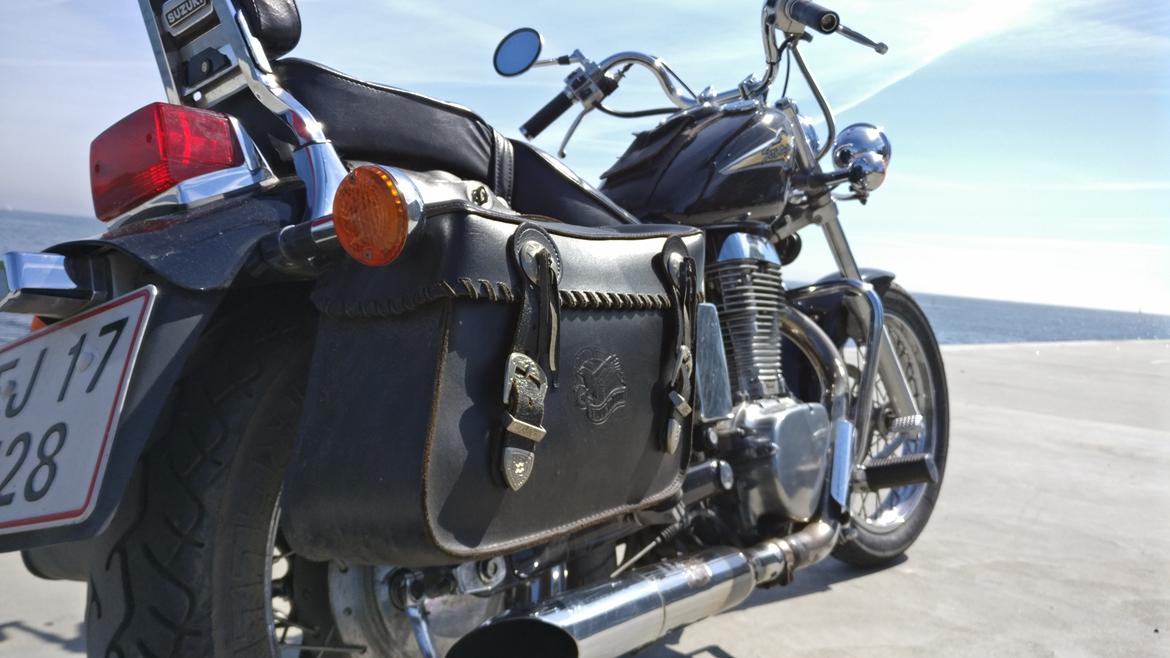 Suzuki Ls650 Savage billede 3