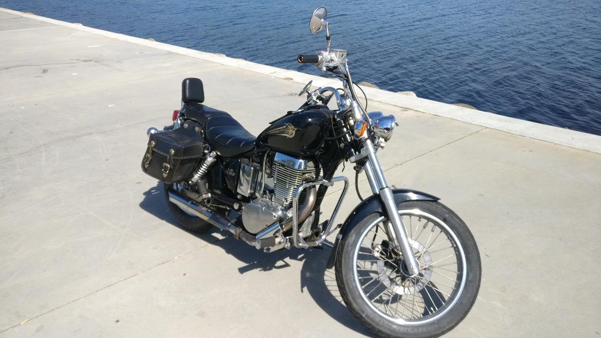 Suzuki Ls650 Savage billede 4