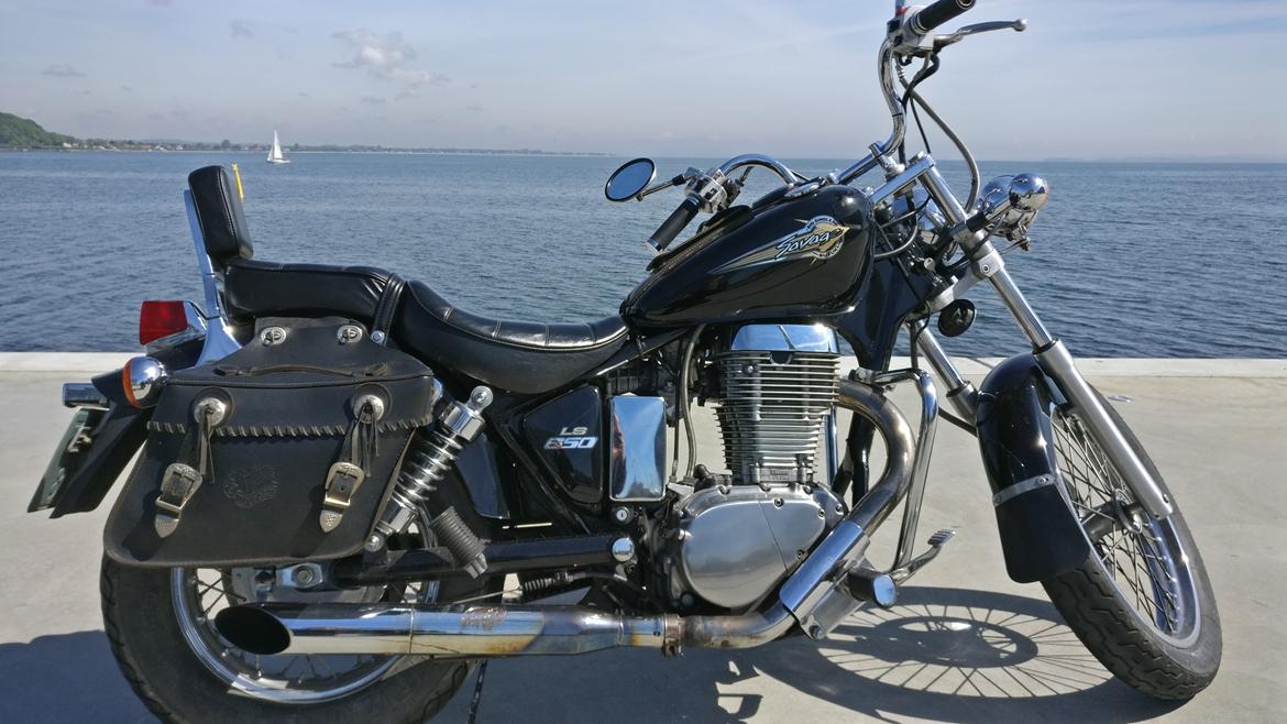 Suzuki Ls650 Savage billede 1