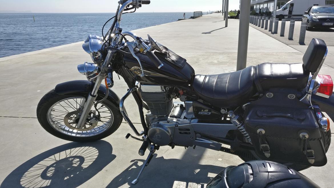 Suzuki Ls650 Savage billede 6