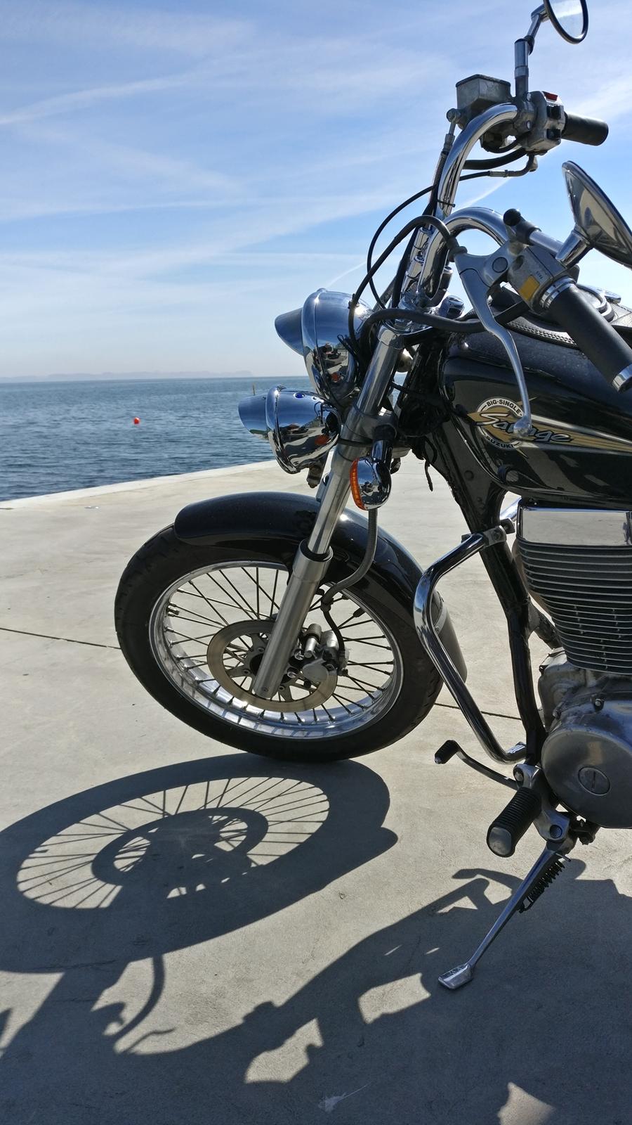 Suzuki Ls650 Savage billede 7