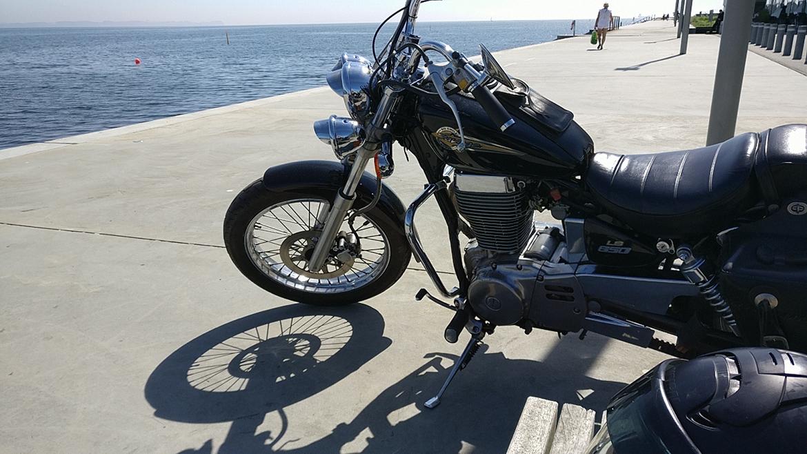 Suzuki Ls650 Savage billede 8